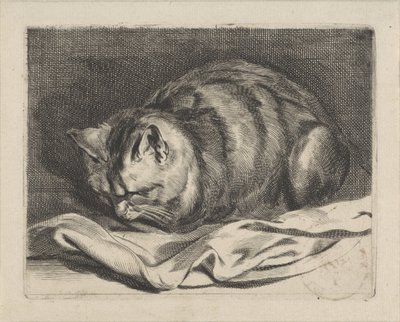子猫 作： Cornelis Visscher (II)