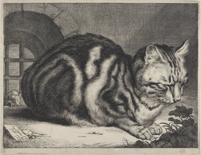 大きな猫 作： Cornelis Visscher (II)