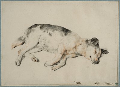 眠る犬の習作 作： コルネリス・フィッシャー