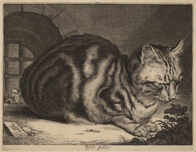 大きな猫 作： Cornelis Visscher