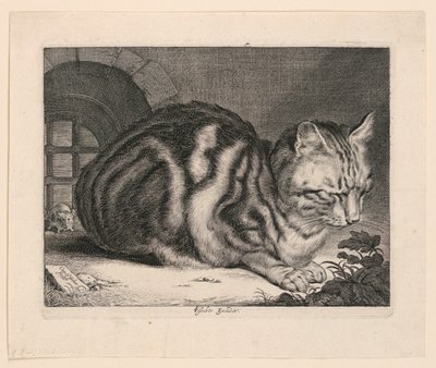 大きな猫 作： Cornelis Visscher