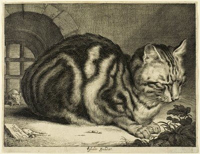 大きな猫 作： Cornelis Visscher