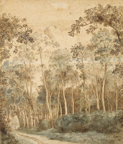森の風景（ペンと茶色のインクと紙のトイレ） 作： Hendrick Cornelisz. Vroom