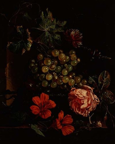ブドウと花とカブトムシとカタツムリとトカゲ 作： Cornelis de Heem