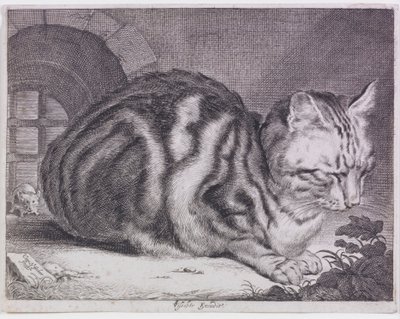 大きな猫 作： Cornelis de Visscher