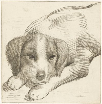 横たわっている犬 作： Cornelis van Noorde