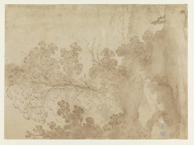 木々が生い茂る丘陵の風景 作： Cornelis van Poelenburch