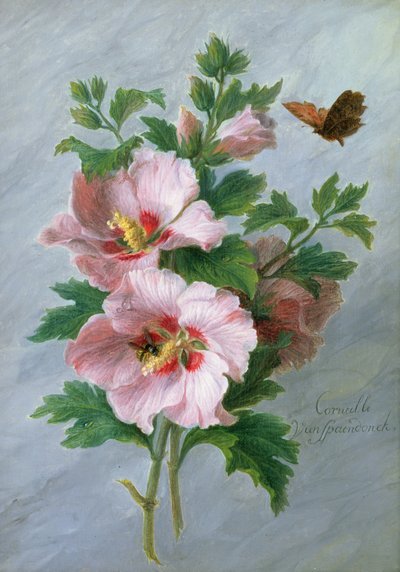 大理石の棚に対するハイビスカス 作： Cornelis van Spaendonck