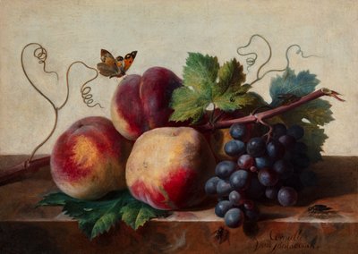 大理石のテーブルの上の桃と葡萄の静物、蝶と他の昆虫とともに 作： Cornelis van Spaendonck