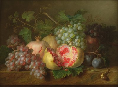 大理石の棚にあるザクロ、ブドウ、プラムの静物（パネル） 作： Cornelis van Spaendonck