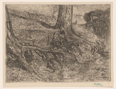 木の根 作： Cornelis van Steenwijk