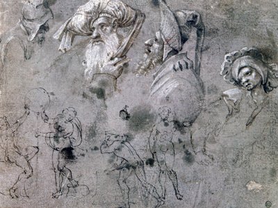 「表情のある頭の研究」、c1468-1533 作： Cornelius Engebrechtsz
