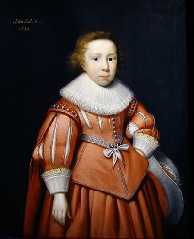 少年の肖像 作： Cornelius Janssen van Ceulen