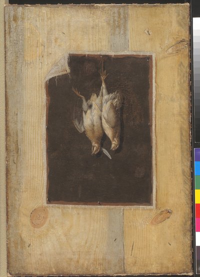 だまし絵。 壁にぶら下がっている2羽の死んだ鳥の静物を持つボードパーティション 作： Cornelius Norbertus Gijsbrechts