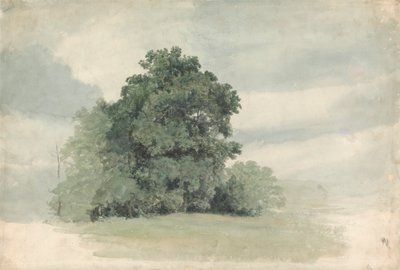 Estudo de árvores na borda de um campo 作： Cornelius Varley