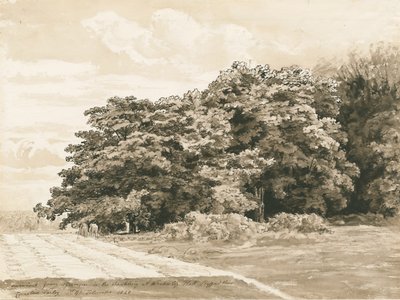 Wrottesley Hall-The Shrubbery：sepia Drawing、1820 作： Cornelius Varley