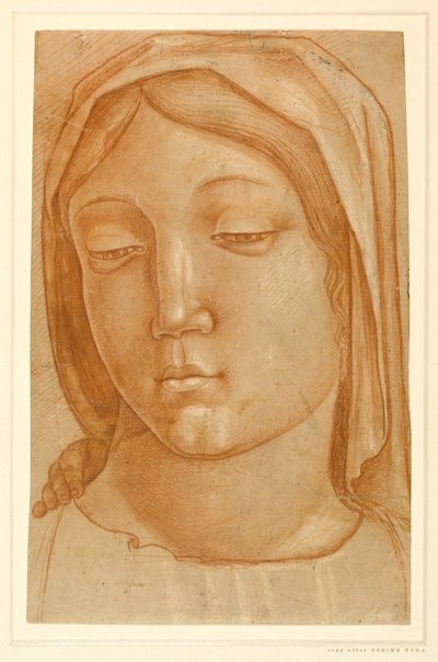 聖母の頭、右肩に子供の手の指を添えて（紙に赤チョーク 作： Cosimo (after) Tura
