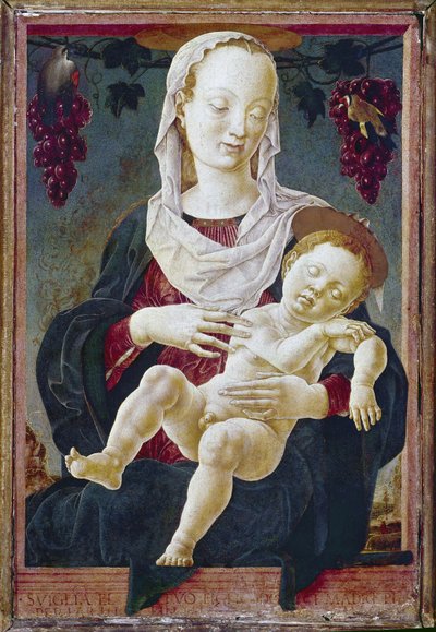 ゾディアックの聖母として知られるマドンナとチャイルド。 c.1459-63 (船上のテンペラ) 作： Cosimo Tura