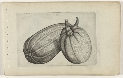 2 つのメロン ユリを知る（連載タイトル） 作： Crispijn van de Passe (I) (attributed to)