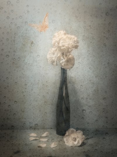  作： Cristiano Giani