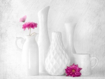 ピンクの花と白い花瓶 作： Cristiano Giani