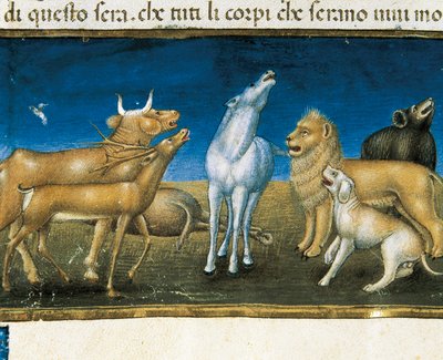 "動物の目の前で空から星が降ってくる"（ミニチュア） クリストフォロ・デ・プレディス（1440-1486）のミニチュア 作： Cristoforo De Predis
