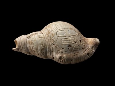 刻まれた巻き貝の殻 作： Culture Taino