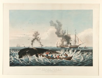 クジラ漁業:/マッコウクジラを攻撃する 作： Currier and Ives
