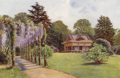日本家屋とウィスタリア パーゴラ、バグショット パーク (カラー リソ) 作： Cyril Ward