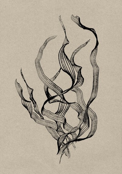  作： Dan Hobday