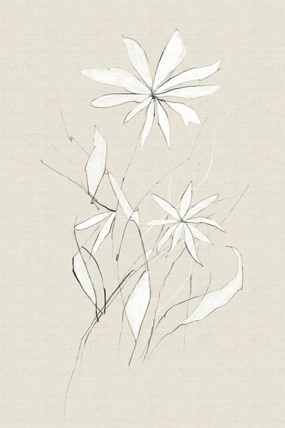  作： Dan Hobday