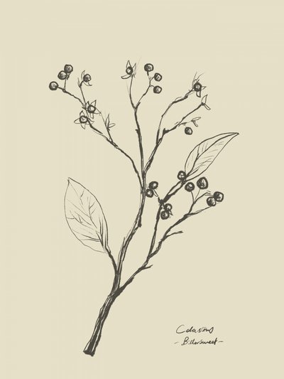  作： Dan Hobday