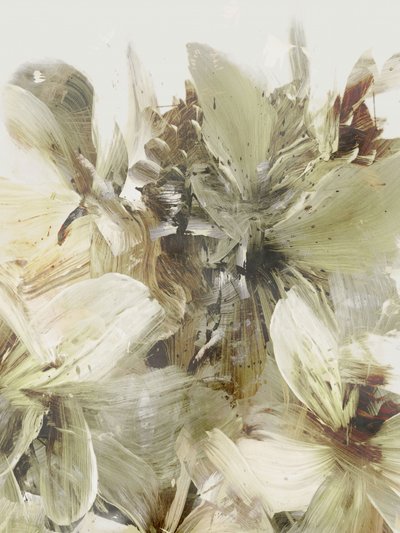  作： Dan Hobday