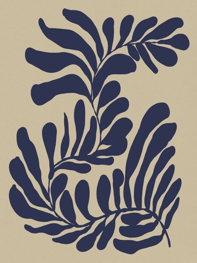 海藻 作： Dan Hobday