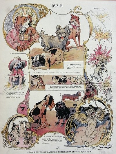 ドッグショーでの犬の様子を軽快かつユーモラスに描く 作： Daniel Carter  Beard