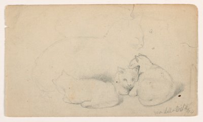 デッサン、猫と3匹の子猫；裏面：アラブ人男性が座って男性を受けている、デイヴィッド・ロバーツの後と思われる、1844年 作： Daniel Huntington