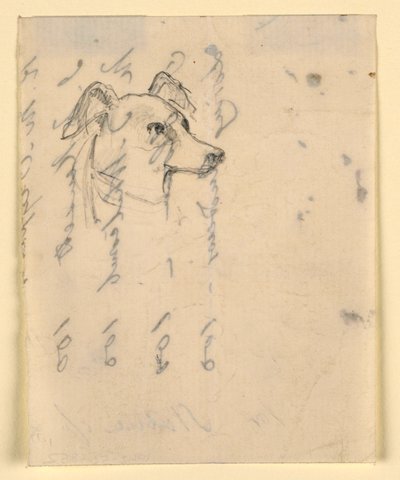 素描、犬の頭部、おそらくミロ（ポインター）、1862年頃 作： Daniel Huntington