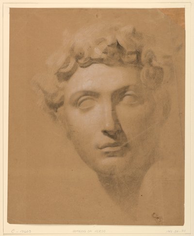 素描、石膏からの男性頭部、1840年 作： Daniel Huntington