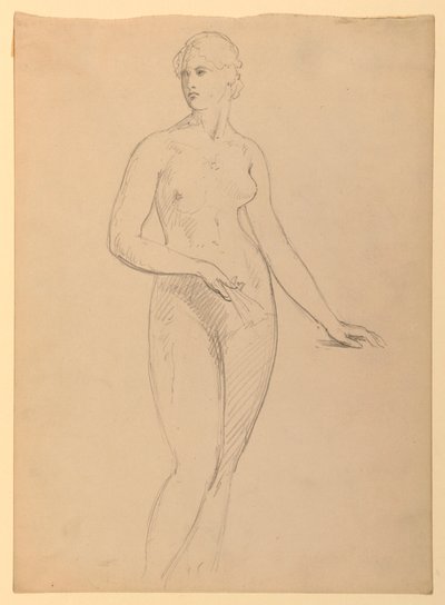 ヘンリー・シーフェリン夫人のデッサン、S、1881年 作： Daniel Huntington