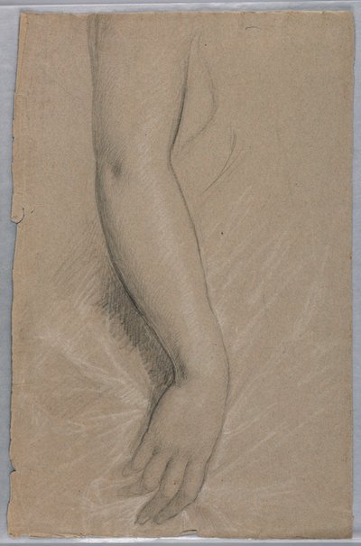 ラザフォード・B・ヘイズ夫人のデッサン、1880年 作： Daniel Huntington