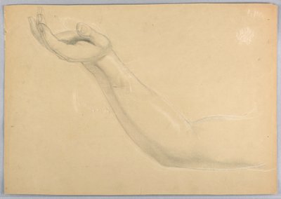 ドローイング、「C」の複製のための習作、1850年 作： ダニエル・ハンティントン
