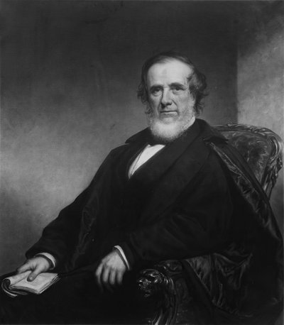ジョンデビッドウルフ、1871年。 作： Daniel Huntington