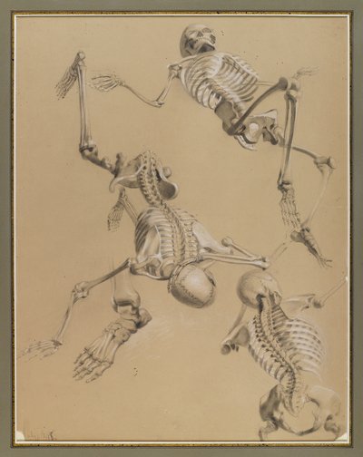 骸骨の研究、1848年（紙にチョーク） 作： Daniel Huntington