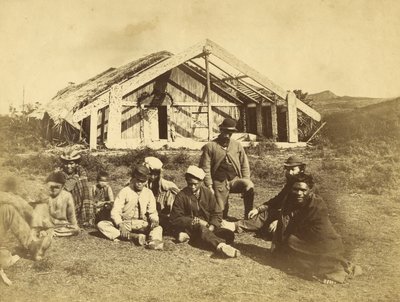 コウィティスルンガハウス、ワイオネオ、ベイオブアイランズ、1870年頃（アルブメンプリント） 作： Daniel Louis Mundy
