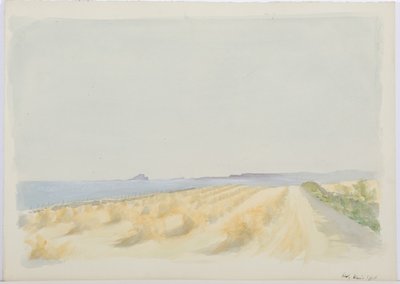 ホーリー島、1894年（紙と鉛筆） 作： Daniel Oliver