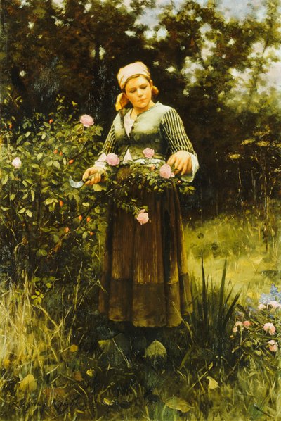 バラを集める、 作： Daniel Ridgway Knight