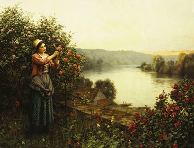 夏の花、 作： Daniel Ridgway Knight