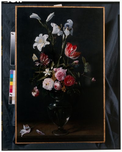 青いリボンで吊るされたバラ、チューリップ、水仙などの花のスワッグ（銅に油彩） 作： Daniel Seghers