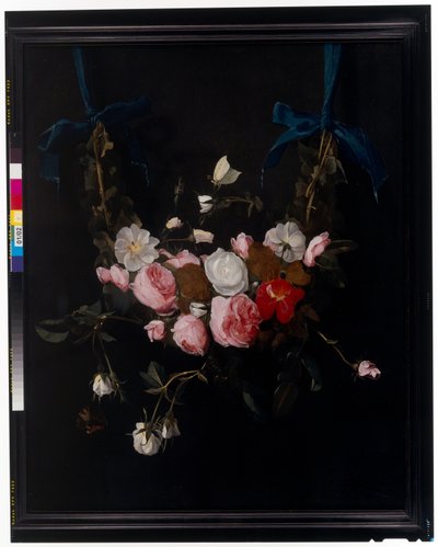 青いリボンで吊るされたバラ、チューリップ、水仙などの花のスワッグ（銅に油彩） 作： Daniel Seghers