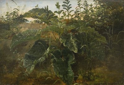 ドックの葉を使った前景研究 作： Dankvart Dreyer